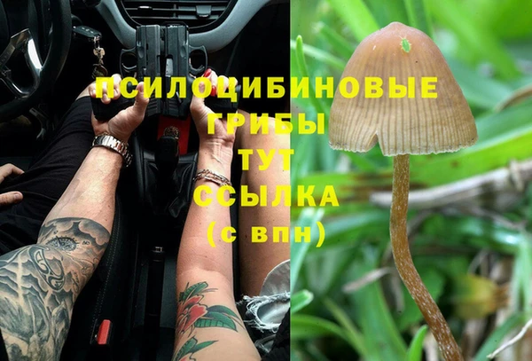 твердый Белокуриха