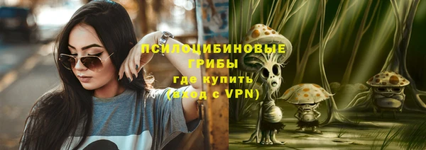 твердый Белокуриха
